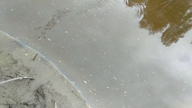 Река Тара, Муромцево, Омская область. смотреть онлайн