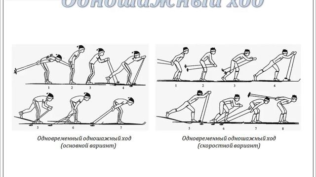 Лыжные ходы. Докладчик Шамсуарова Евгения Владимировна смотреть онлайн