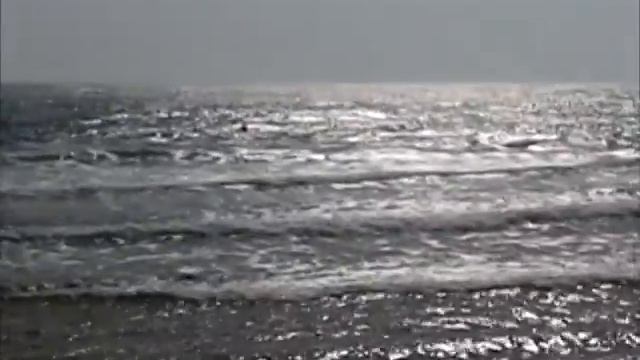 Отпуск на красном море. Шарм-эль-Шейх 2011 смотреть онлайн