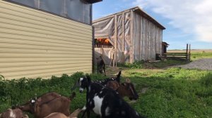 ПОДЗЕМНАЯ ТЕПЛИЦА! СУПЕР ГРЯДКИ СВОИМИ РУКАМИ! КАК ВЫРАЩИВАТЬ УРОЖАЙ КРУГЛЫЙ ГОД? СТРОИМ ЖИЗНЬ МЕЧТ