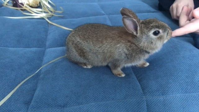 День рождение. Что подарить ребёнку на 8 лет смотреть онлайн