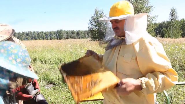 На пасеке у Сергея. "Отборка рамок для качки меда. Рабочие моменты". смотреть онлайн