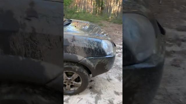 Когда ты вытащил машину из лужи с палками и грязью спустя час:) смотреть онлайн