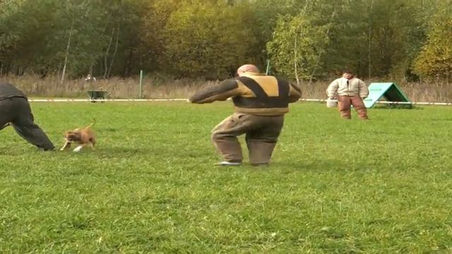 №24, 4 этап, БР СДП"Чертаново", 24.09.2011 смотреть онлайн