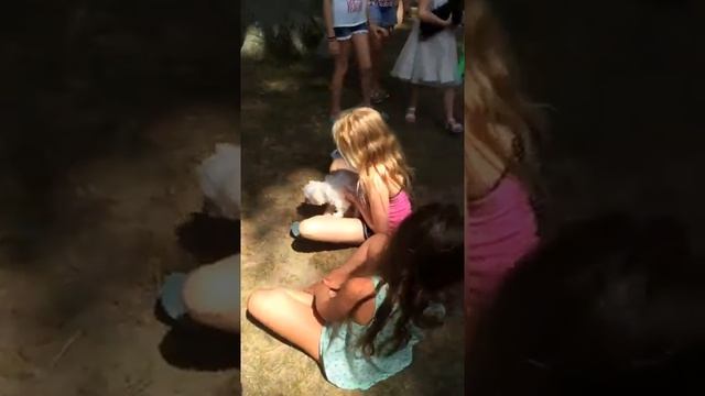 Puppy party 5 смотреть онлайн