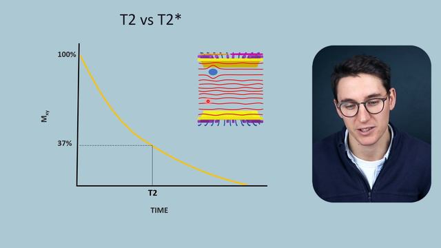 T2 Relaxation, Spin-spin Relaxation, Free Induction Decay, Transverse Decay | MRI Physics Course #4