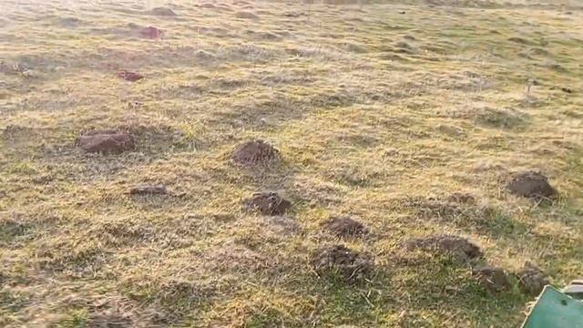 пашем зимой целину на т 40