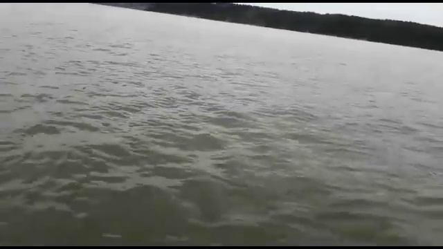 Чат тур белая рыба июль 2018 смотреть онлайн