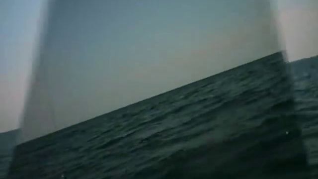 Kayak Sharks And Kings Off Galveston, Tx