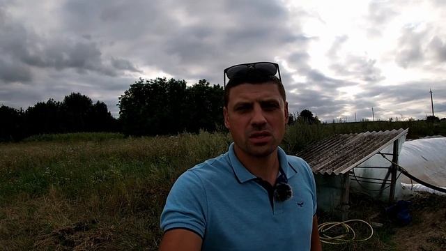 Скільки коштує посадити гектар полуниці? Калькуляція гектара в 2022 році. смотреть онлайн