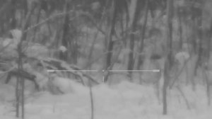 Ночная охота на кабана 2022 С прицелом Юкон Фотон