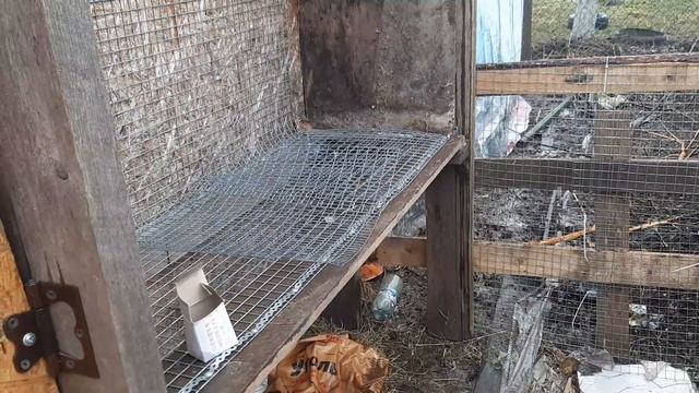 В НАШЕМ ХОЗЯЙСТВЕ, ПОПОЛНЕНИЕ.СПУСТЯ 2 ГОДА НАКОНЕЦ-ТО У МЕНЯ ПОЯВИЛИСЬ ОНИ. смотреть онлайн