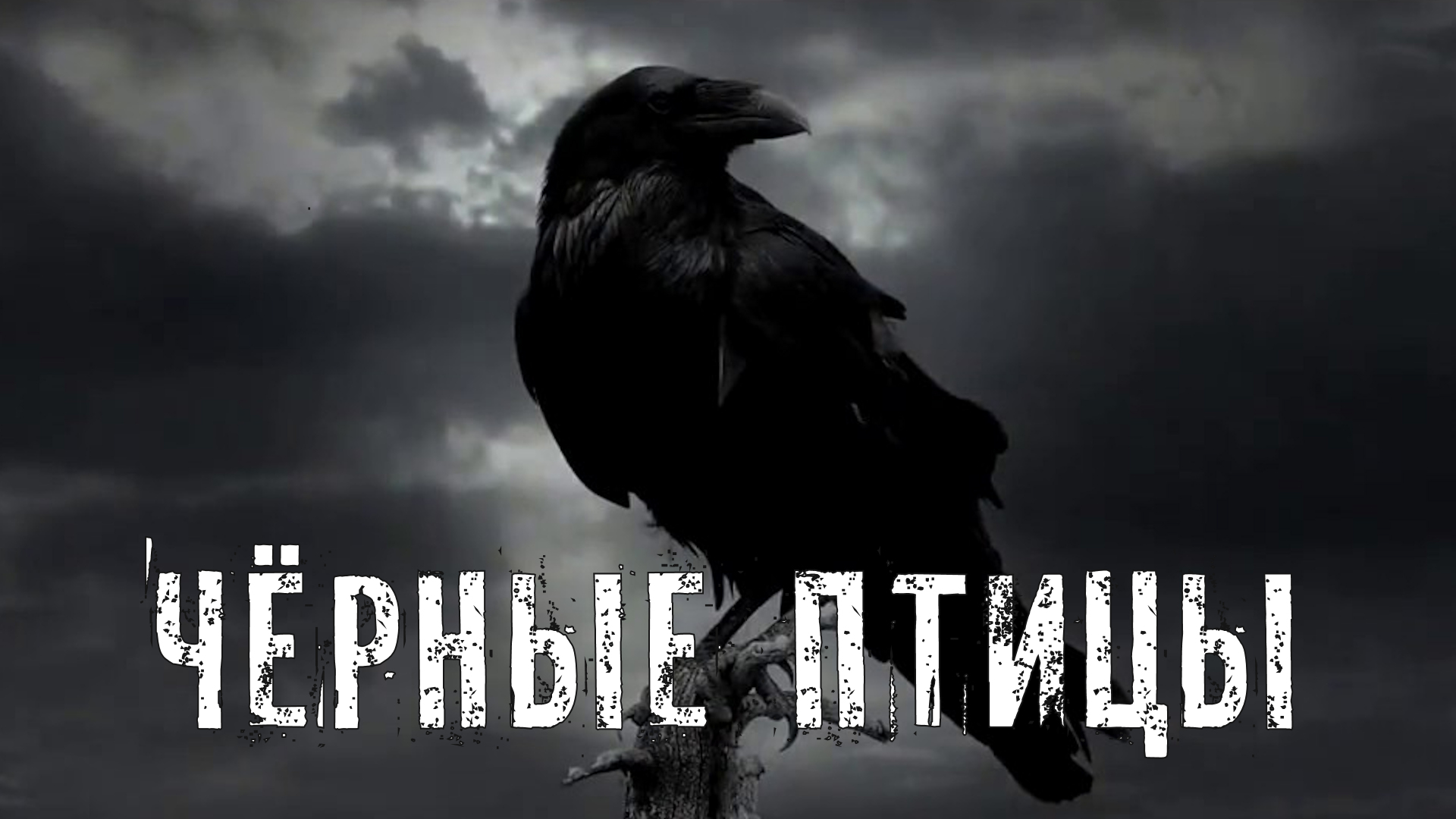 Страшные Истории. ЧЁРНЫЕ ПТИЦЫ. Ужасы. смотреть онлайн