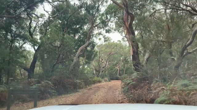 Почему мы уехали из Портланда (Australia, Vic) - впечатления спустя 2 месяца жизни здесь смотреть онлайн