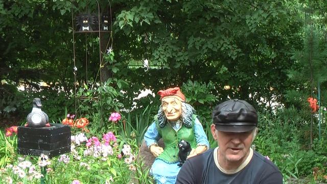 Московские грибы 26 ИЮЛЯ 2018 ЛЕСОПАРК МЕЖДУ ЧЕЛОБИТЬЕВСКОМ ШОССЕ КАНАЛОМ ИМЮ МОСКВЫ смотреть онлайн