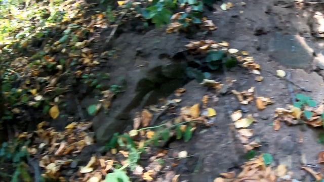 Люллинская Жемчужина, мини водопад. Памятник природы Удмуртия смотреть онлайн