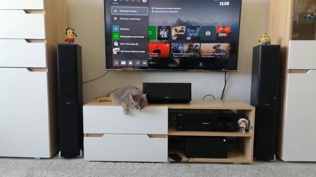 Прямой вывод звука в формате Dolby Truehd, Dts-HD (passthrough) на XBOX Series