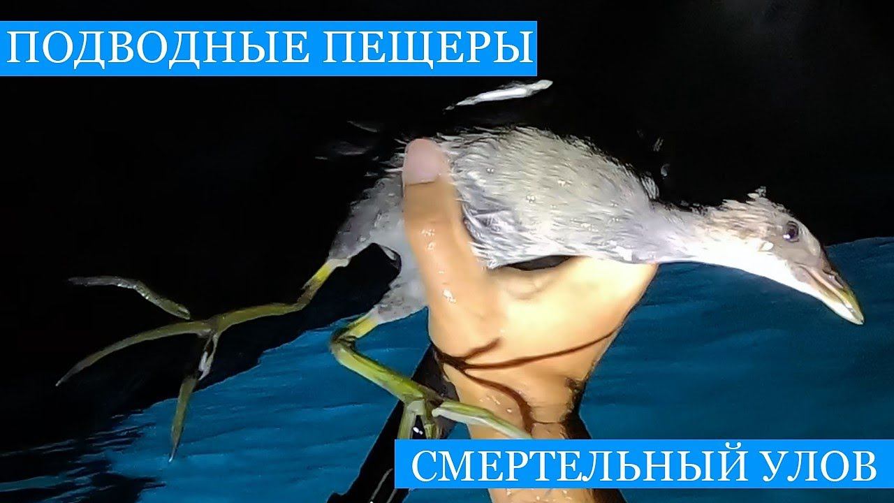 Подводные ПЕЩЕРЫ Крыма! Смертельный УЛОВ!! Морская высокая кухня на каяке))) смотреть онлайн