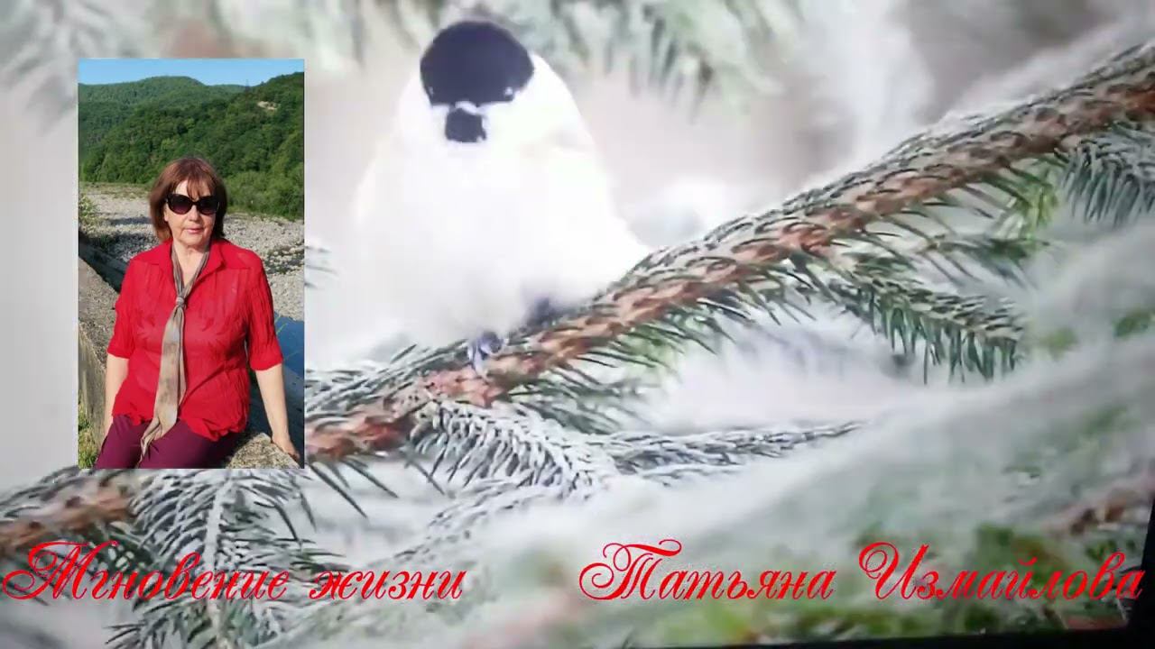 Мгновение жизни Татьяна Измайлова