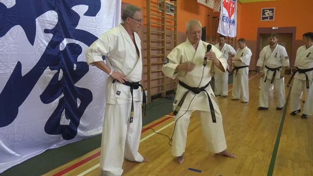 ЛЕТНЯЯ ШКОЛА КЁКУСИНКАЙ-2018 (15). Цуки но ката смотреть онлайн