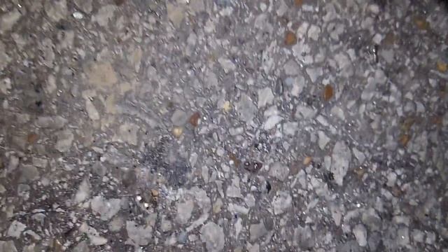 Midnight walk in a new location. I found some great treasures. смотреть онлайн