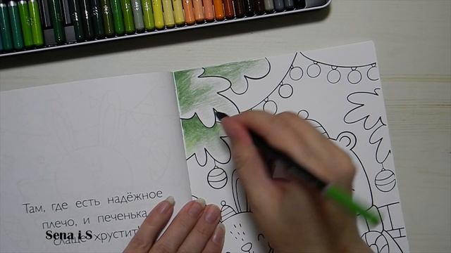 Раскрашиваю ЗИМНИЕ КАРТИНКИ челлендж раскрашено за ДЕКАБРЬ What I Colored in December / SenaiS Art смотреть онлайн