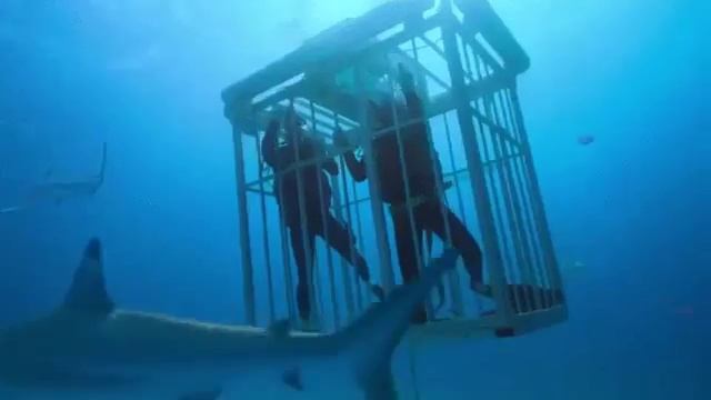 Как то раз приснился сон) Ставьте класс :) смотреть онлайн