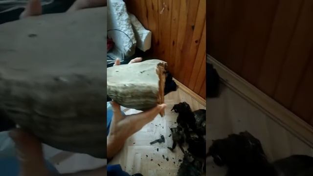 Живая полка на балконе без затрат?#лайфхаки #полка # своимируками #оптимизацияпространства #shorts смотреть онлайн