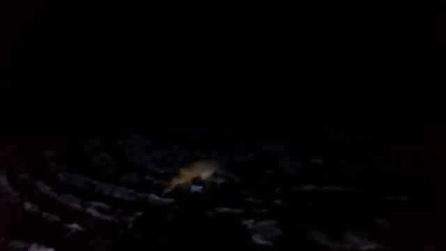 Озеро-волшебство