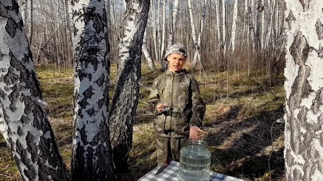 БЕРЕЗОВЫЙ СОК/СБОР смотреть онлайн