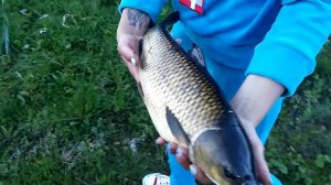 Нарочь и рыбалка - выпускаем белого амура на волю (Беларусь, Минская область)