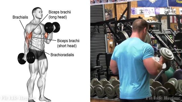 John Cena's Sleeve-Busting Arm Routine 2022 смотреть онлайн