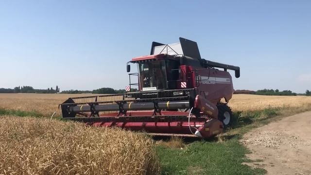 GOMSELMASH GS 3219 ввод в эксплуатацию первый выезд в поле смотреть онлайн