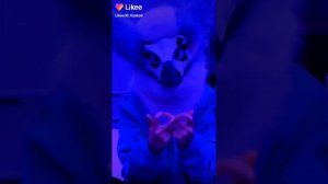 фурри и рапторы из лайка!