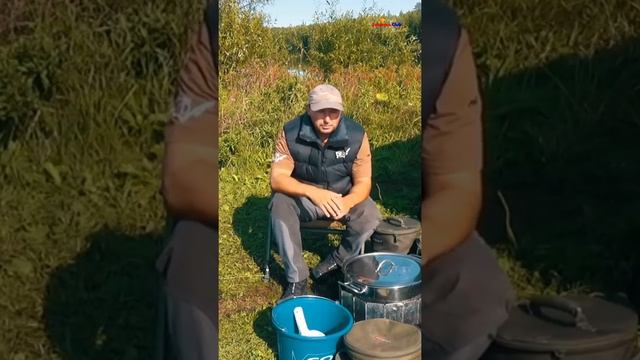 Как правильно добавлять в зерновой микс Пелетс и бойлы Ловля карпа #shorts смотреть онлайн