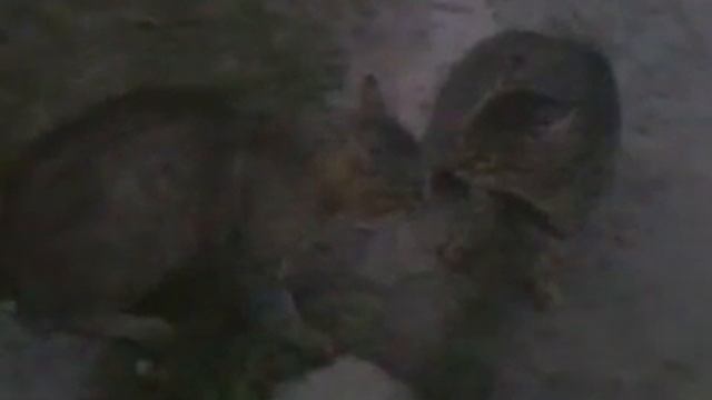 Деревенские разборки смотреть онлайн