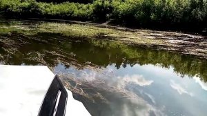 мотор-болотоход, катабайд и проходимость по траве