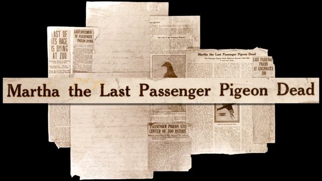 Passenger Pigeon Martha 100 Years Later - Cincinnati Zoo