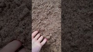 Какой бывает песок на стройке