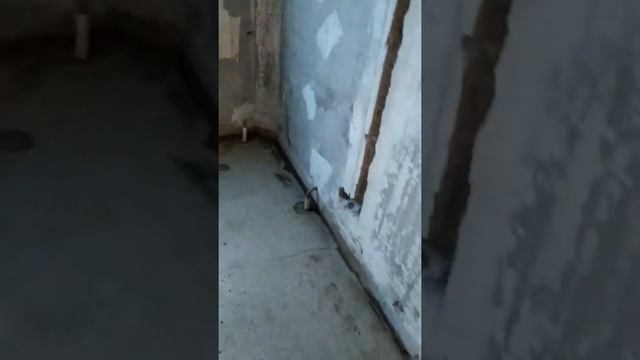 Подготовка к стяжке пола грунтовка смотреть онлайн