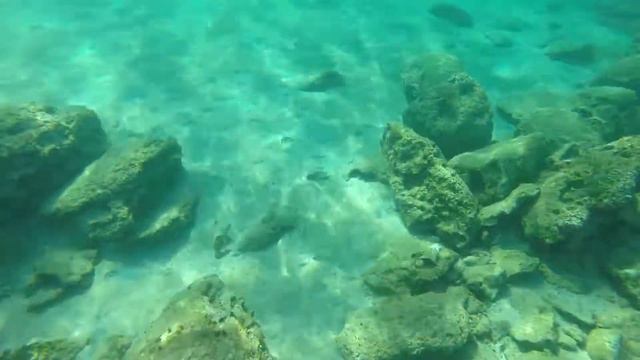 Кипр ПротарасСкудное Средиземное море октябрь 2017 смотреть онлайн