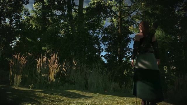 Aelirenn - The White rose of Shaerrawedd - Witcher lore - characters смотреть онлайн