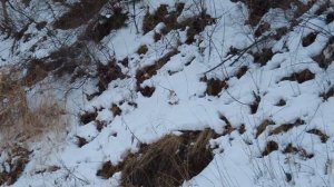 23.02.2024г. Туристический поезд "Байкальский экспресс"