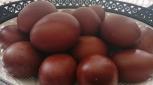 Куры Мараны.Лучшая порода мясо-ячных кур)