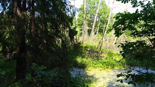Дачное смотреть онлайн