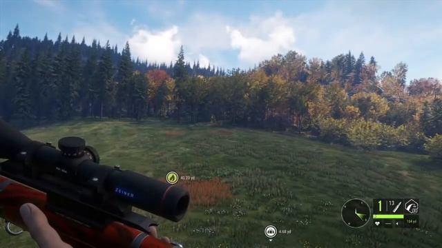 TheHunter: Call Of The Wild. Gold Red Stag At Hirschfelden