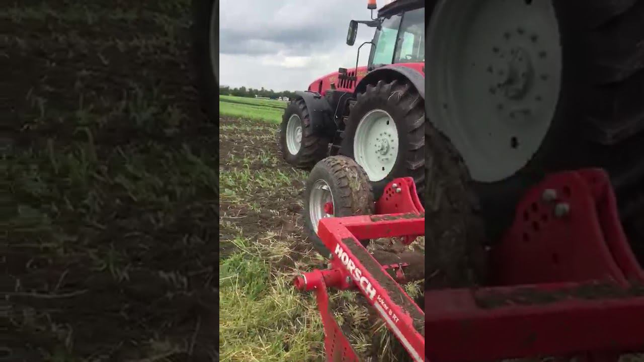 Сравнение дисковых лущильников Хорш Джокер и Фармет Софтер. Horsh Joker vs. Farmet Softer смотреть онлайн