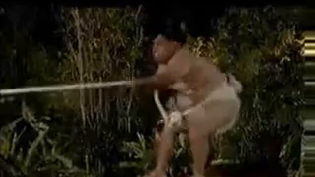 Sumo Wrestler vs. Monkey смотреть онлайн