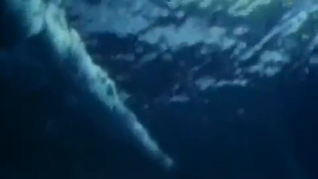 Флот США против флота России (ВМС Vs ВМФ 2016)