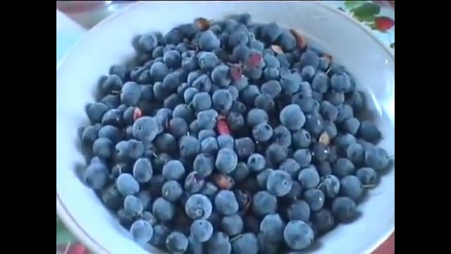 HD версия п Транспортный Магаданская обл 002 смотреть онлайн